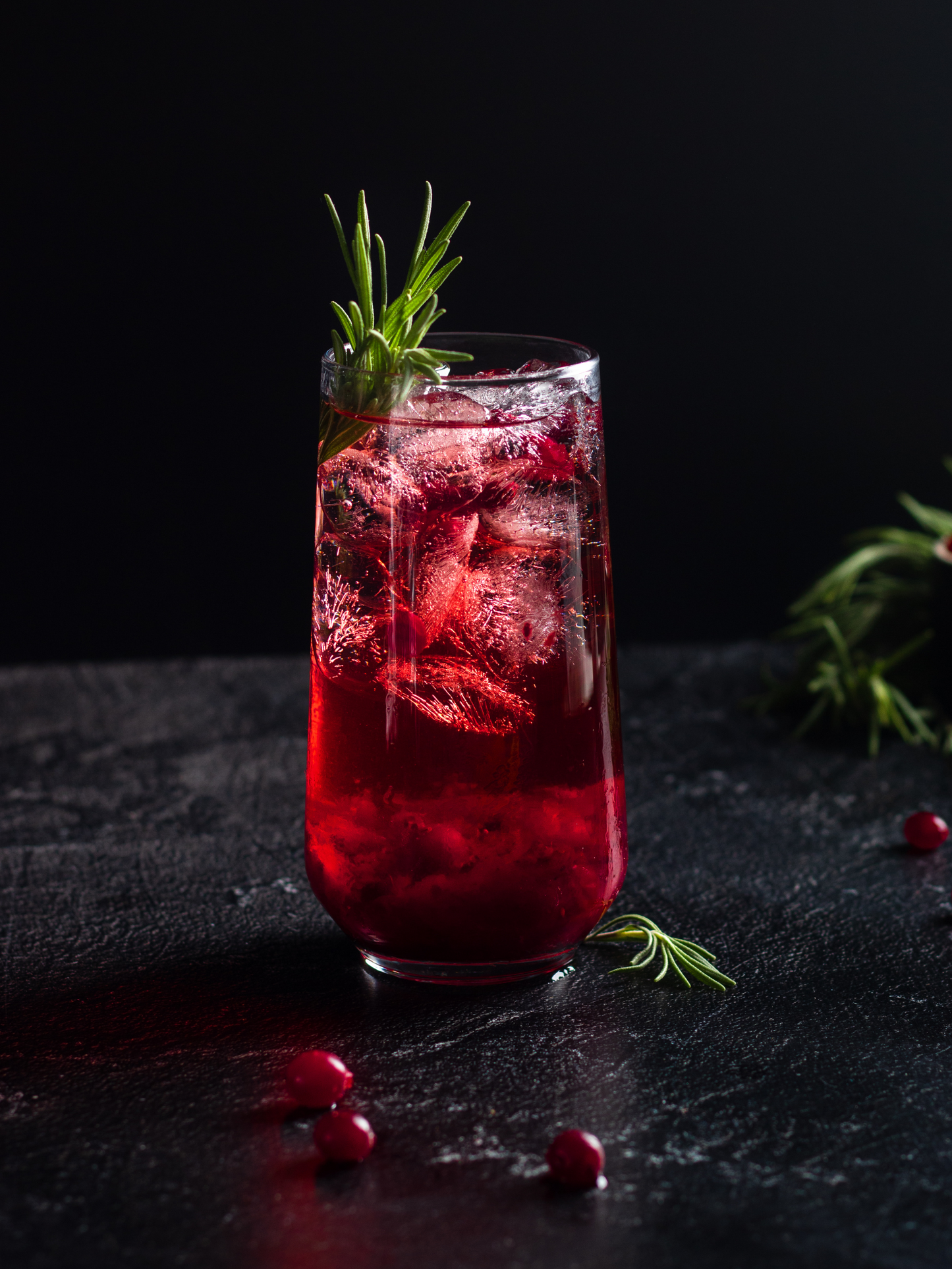 Cranberry Rosemary Tepache